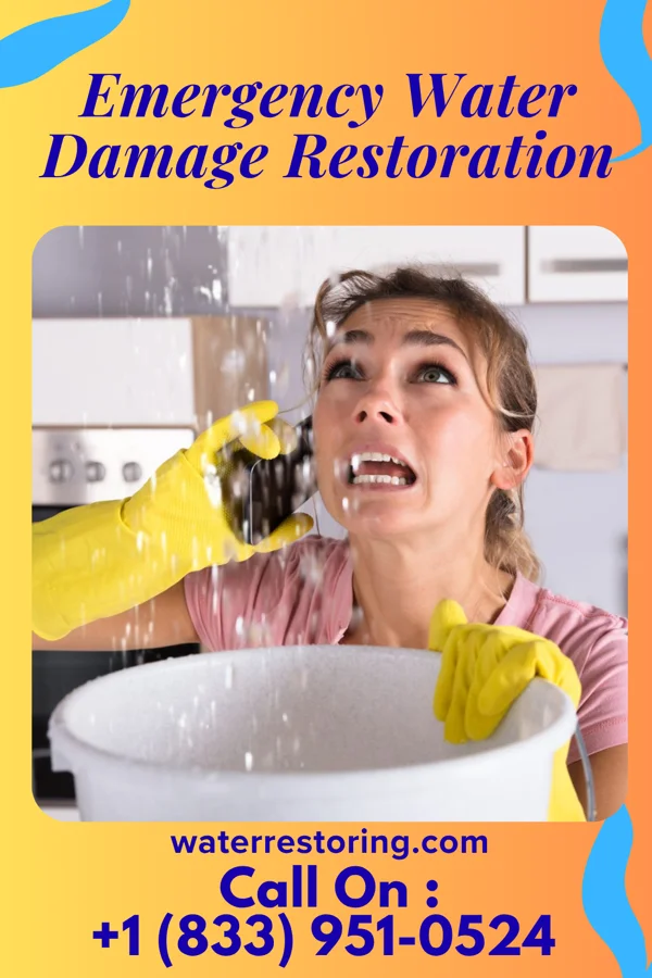 Emergency Water Damage Restoration in Yaak, MT