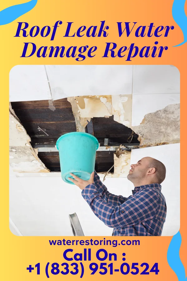 Roof Leak Water Damage Repair in Yaak, MT